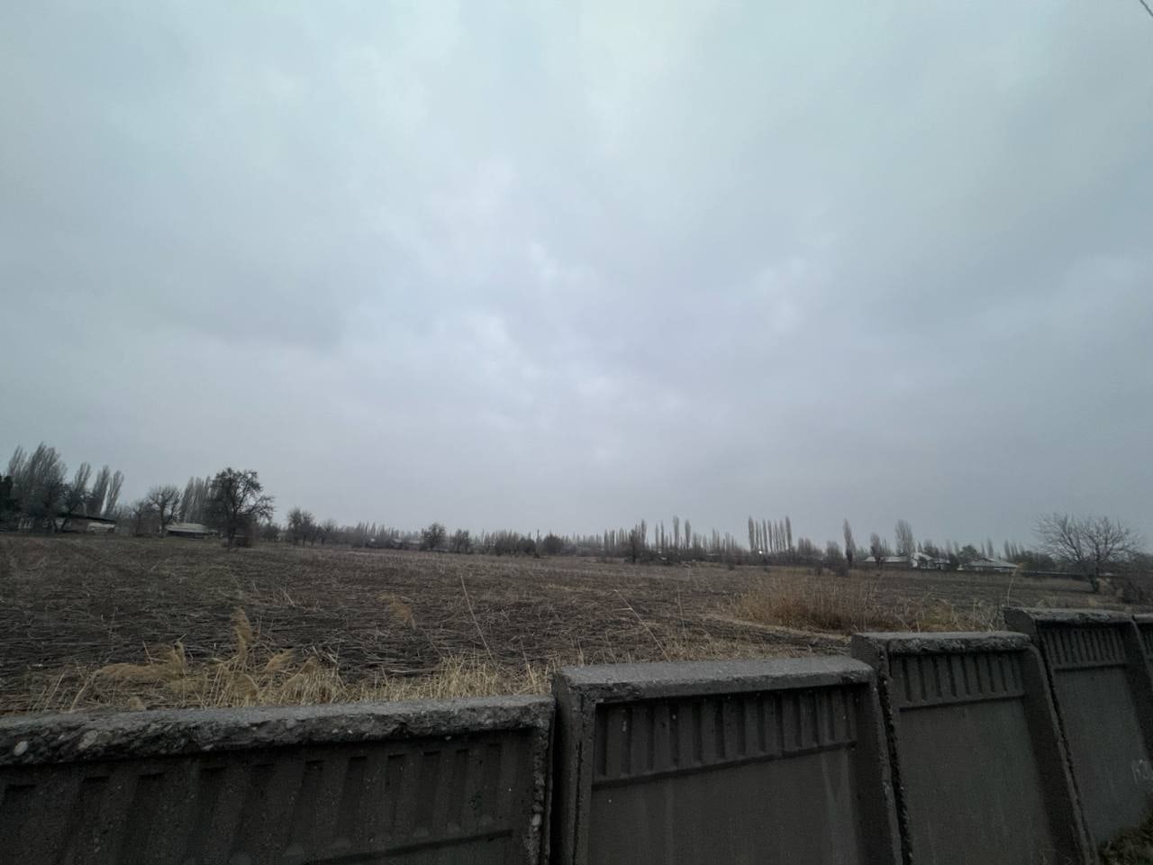 Продажа земельного участка в oblast-tashkent районе — Таможенный склад, фотография 3